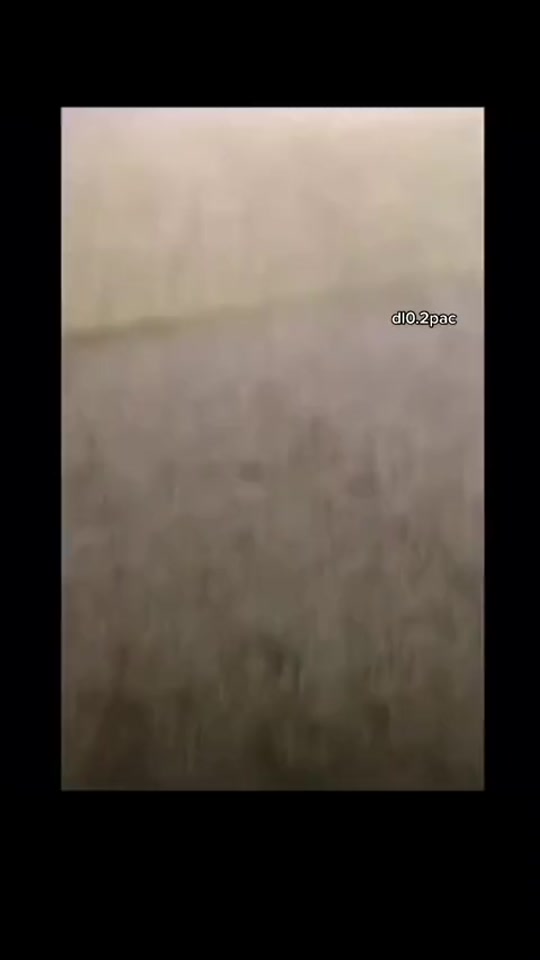 #fyp 7559681417584577800