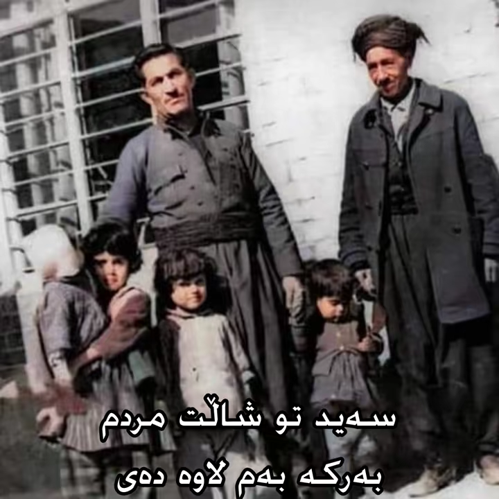 کیژێ مەڕۆ جوانی🖤🎼#حەسەنزیرەک #hasanzirak #kurdistan #کوردستان #هەولێر...