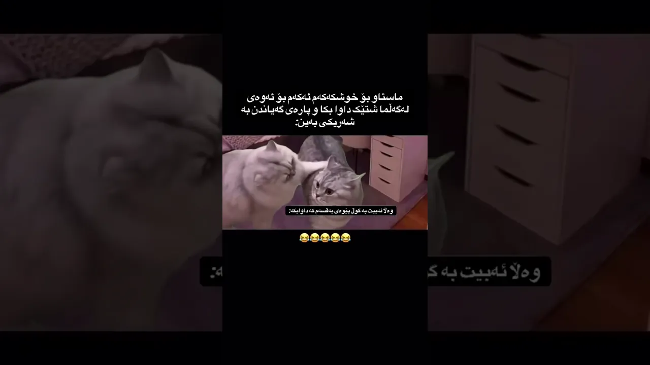 خوشکەکەت تاگ بکە 😂🦦