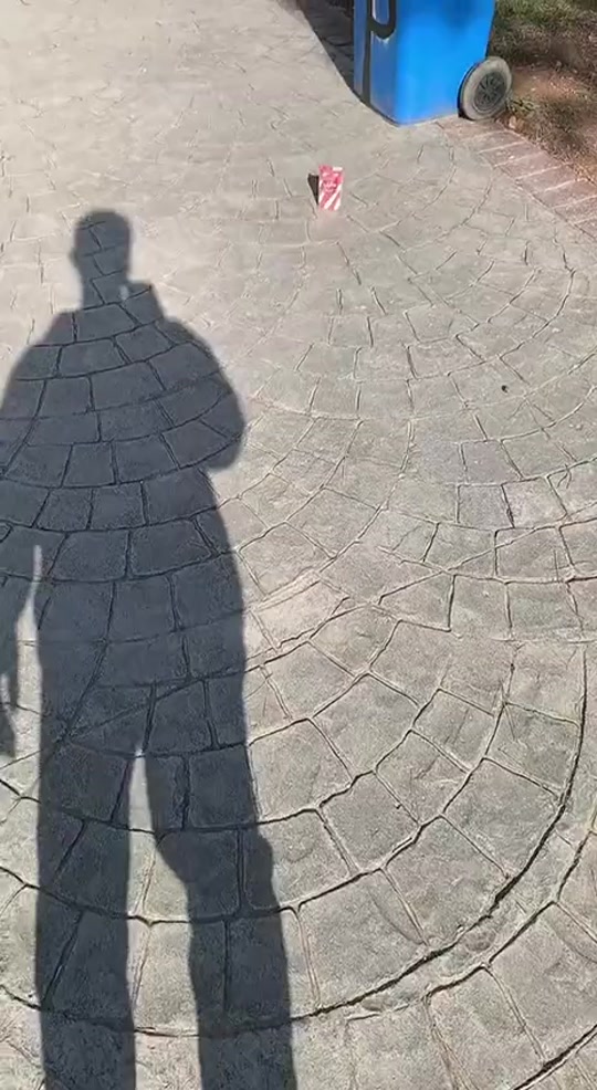 #fyp 7313208194766130437