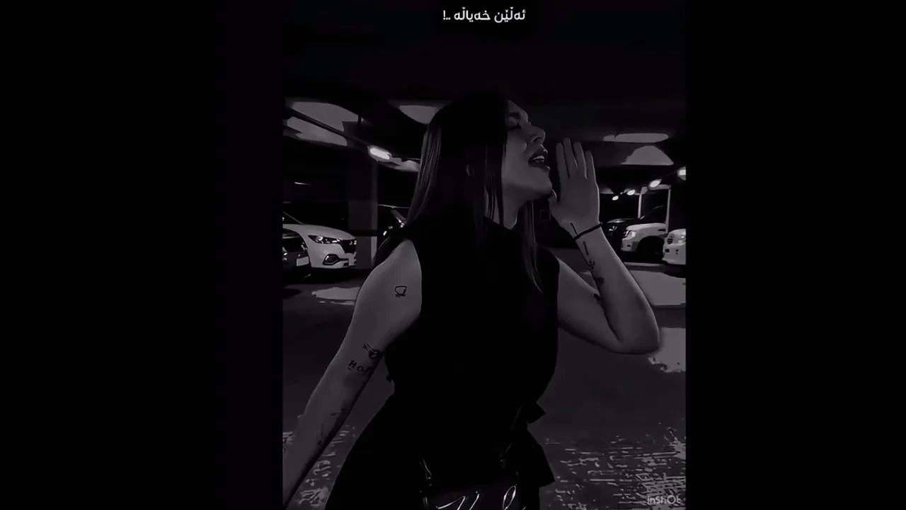 Sana Barzanje🌚#foryou #song #sanabarzanje