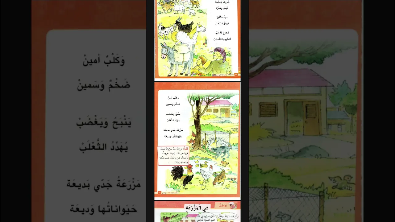 مزرعة جدي｜عەرەبی پۆلی٥｜#مامۆستاسندس