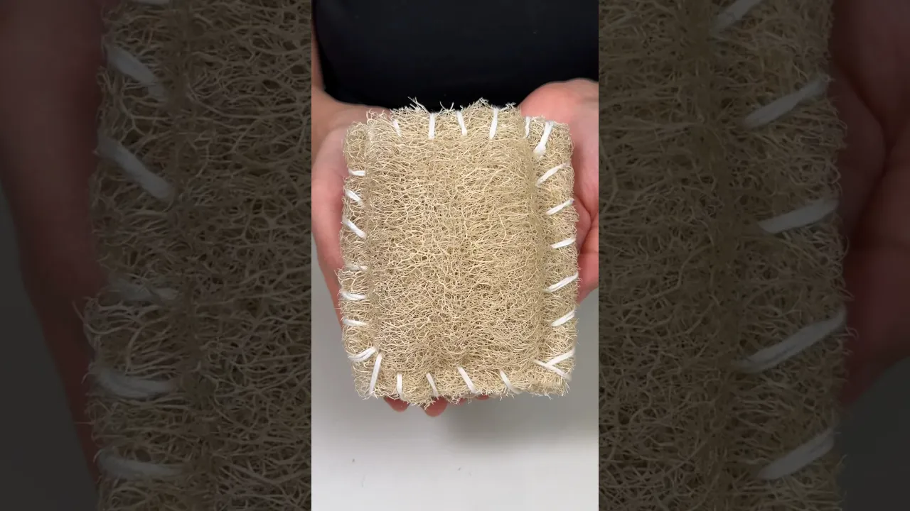 Kabak Lifi ⧸ Loofah 🧽🧼 #luffa #loofah #sponge #busezeynep