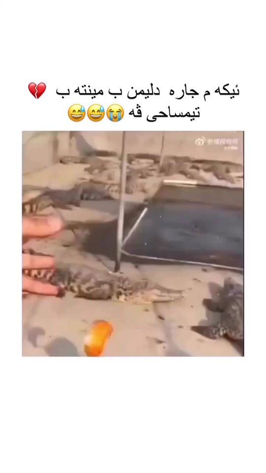 #fyp 7283174938524142853