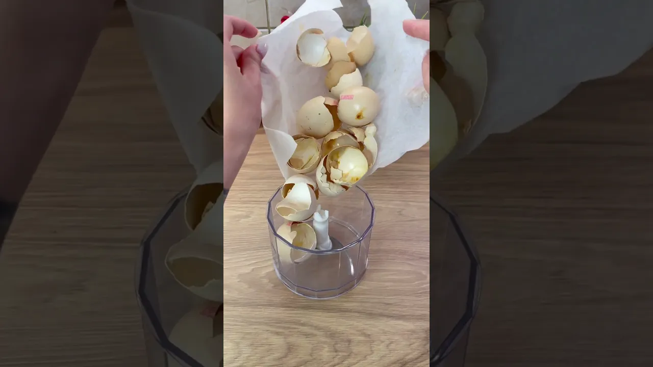 Eggshells life hack for your garden 🌱🌱🌱#lifehacks #garden #fypシ
