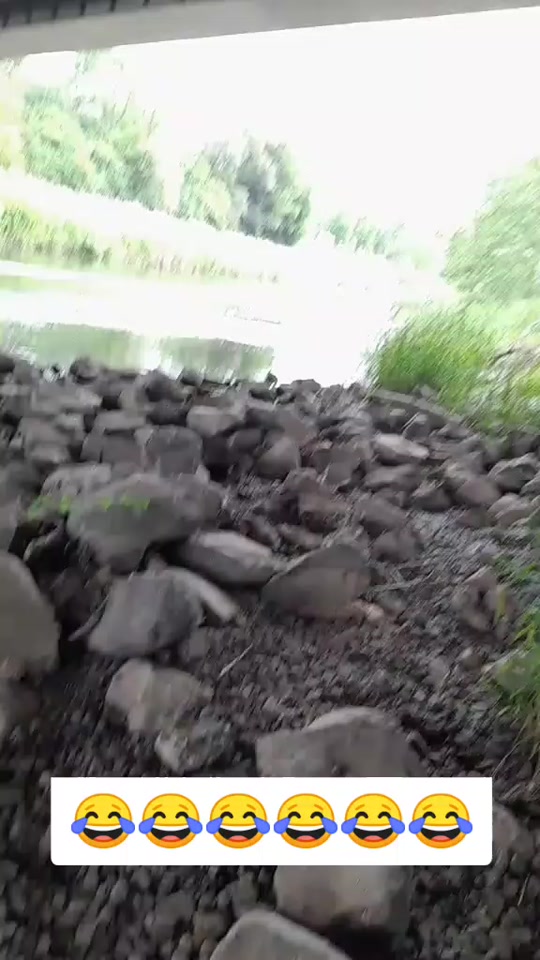 #fyp 7480211327776984338