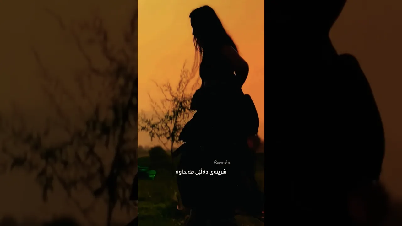 هه‌ڵپه‌ڕکێکی ڕۆح بوو لە ناو باڵه‌کانی ئه‌و ئاوازە کوردییه‌دا.♥️#kurdi #youtube #music #کورد #کوردی