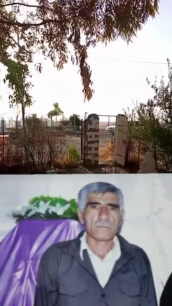 TikTok video #7418057434951929096