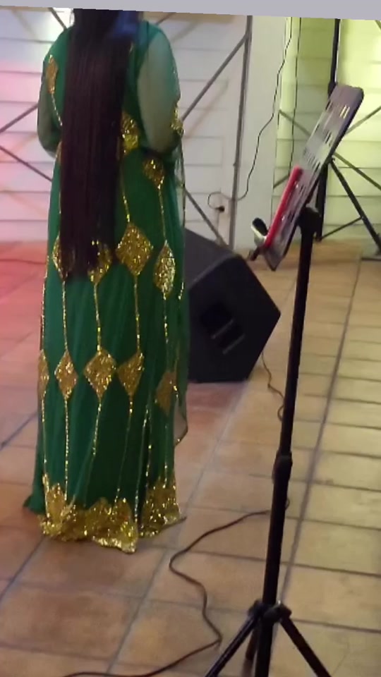 #ژیناوەیسی #کنسرت #شاییە #سوران #باشور باکور روژهه لات روژ ئاوا #سلیم...