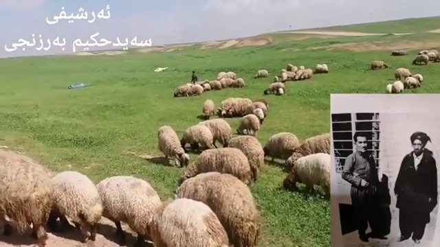 هەتا کات و زەمەن ئەڕوا هەوادارانی زیرەك زۆرتر ئەبێ چونکە کەس نەسوتاو...