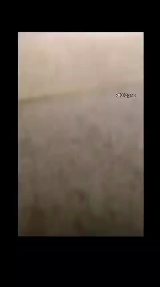 #fyp 7437419049023327496