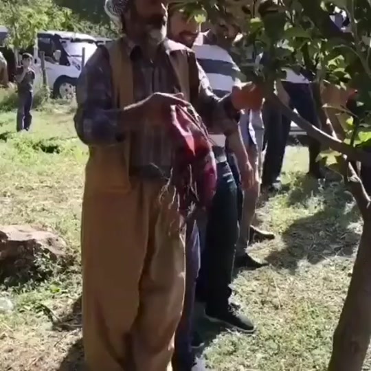 #fyp 7495060375633792274