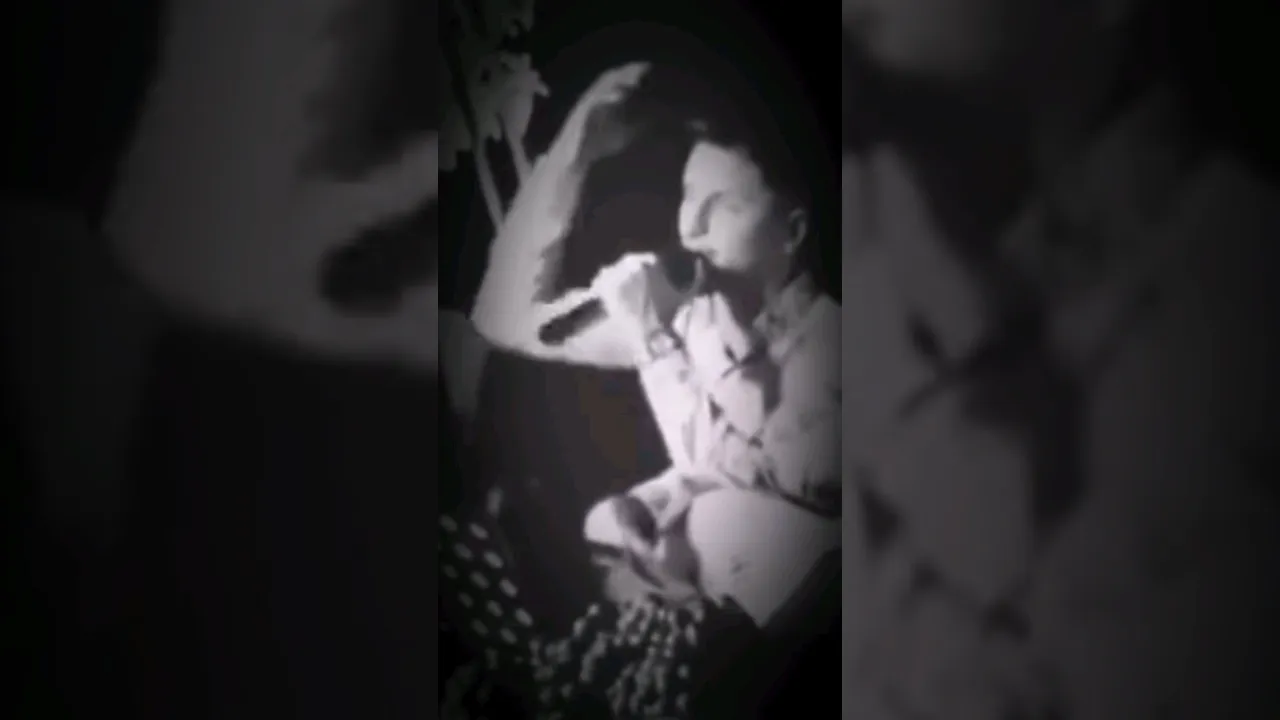 کیسرا دێوانە دایە خۆزگە ئەم توانی زەمنت بۆ رابگرم ❤