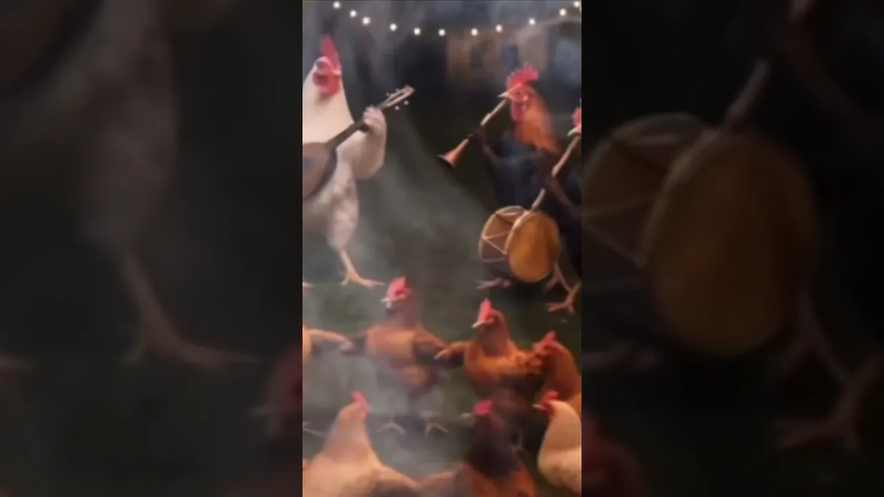 79 خوش تاکل #funny #嗡嗡嗡 #viralvideo