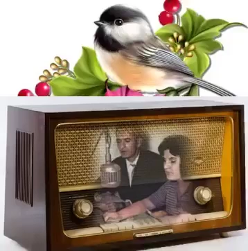 ((دەنگێکی بێ نیشتیمان)) ئەمرۆ رێکەوتی ٢٦ ⧸ ٦ هـ یادی ٥٣ ساڵەی ژی...