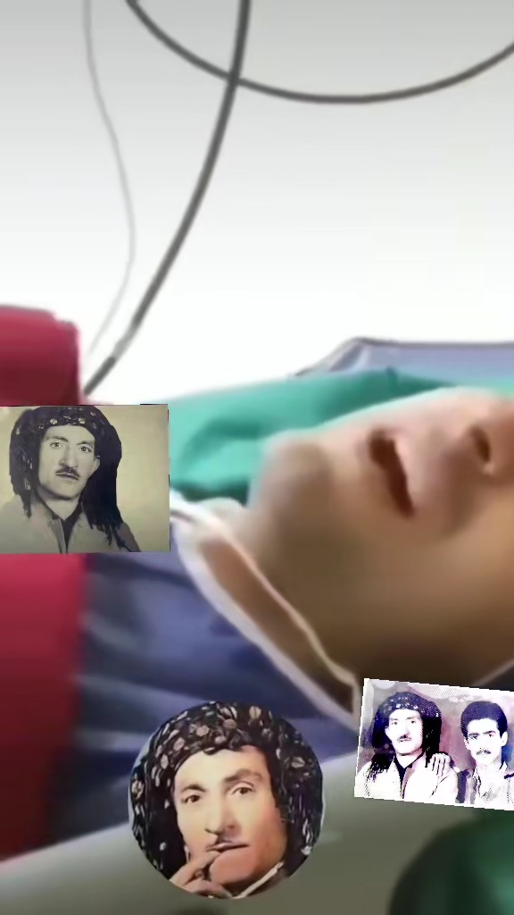 TikTok video #7556662197791837448