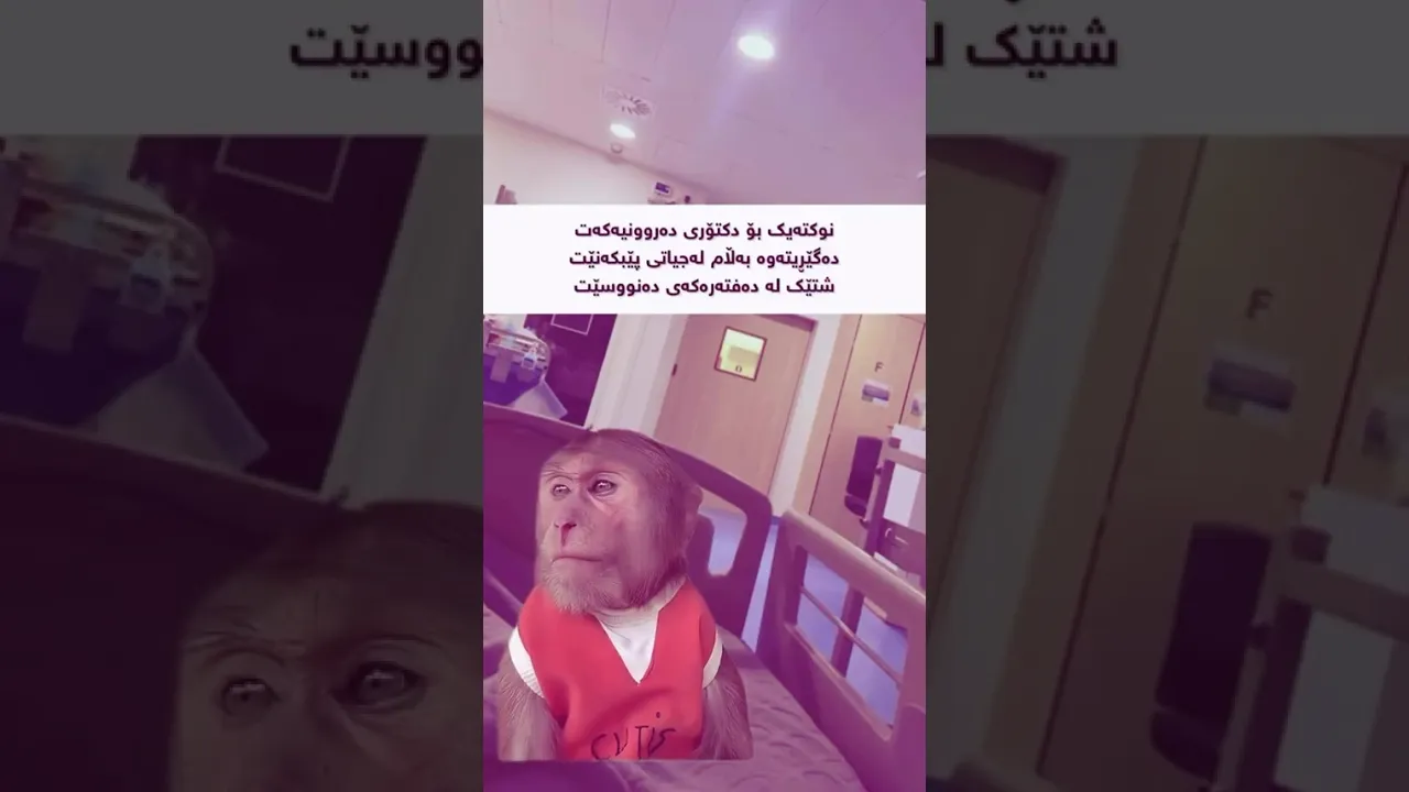😂😔a