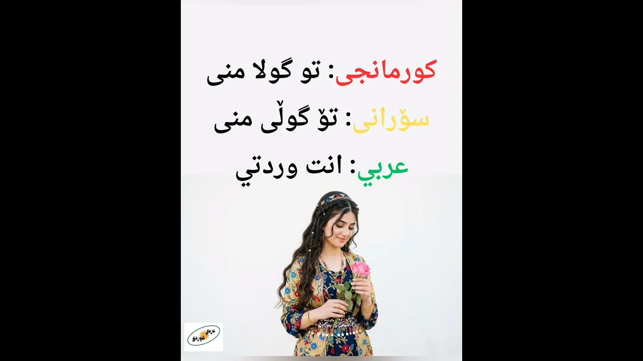 ✍️ ترجمة اليوم بناءً على طلبكم 🤍 #ترند #ترجمة #اغاني كردية #كردي #عراقي #ريلز #explore # #iraq