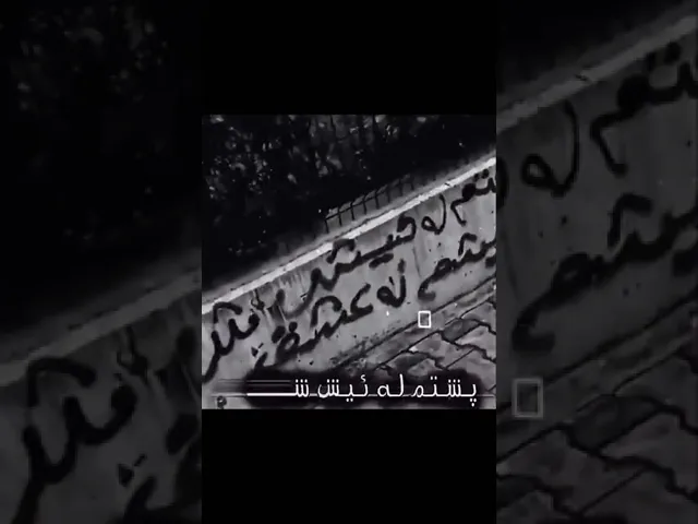 پشتم لە ئیش شکا دڵشم لە ئەشق ...💔