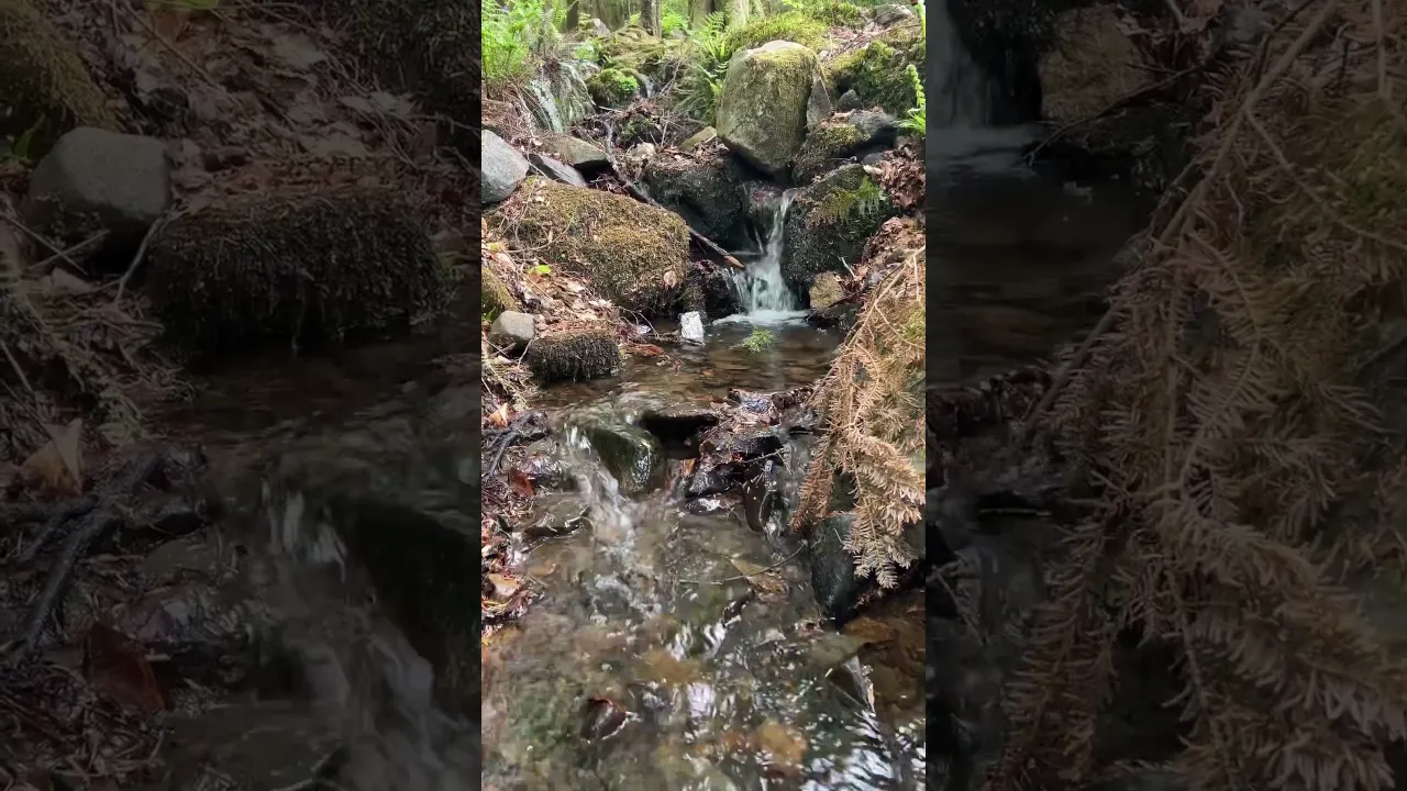 #irish #dundalk #dublin #ireland #nature #waterfall #irishmusic #hawramanmusic #kurdishvlog #hawrama