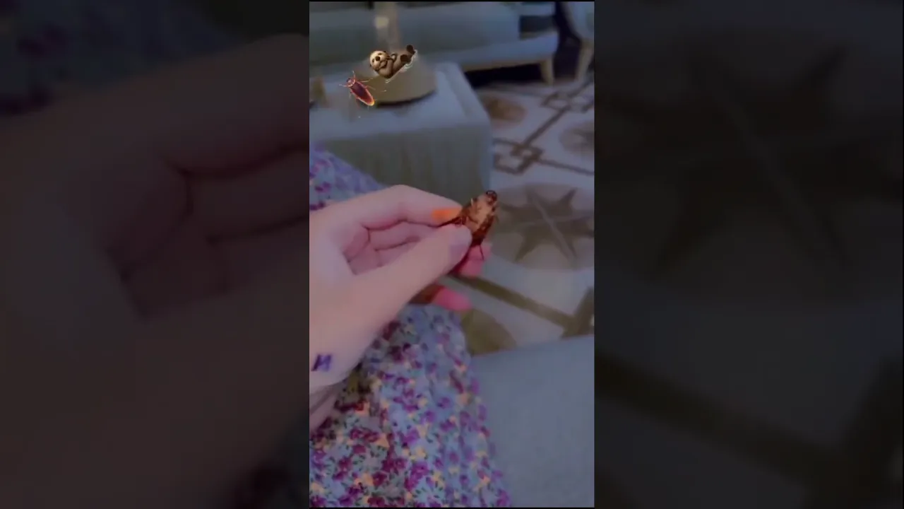 خۆتانیش پیسن 🤣💔
