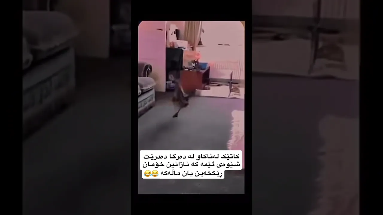 😂😭d