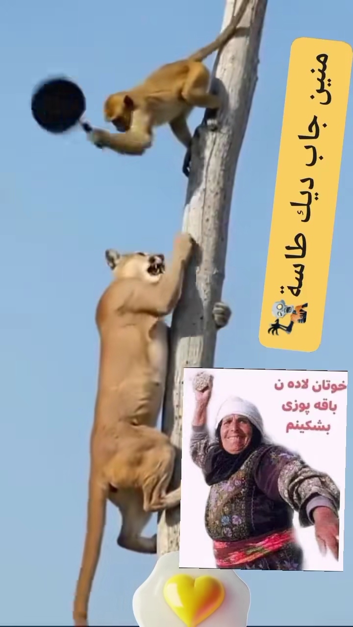 TikTok video #7569503668907560213