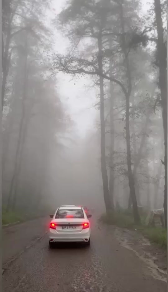 TikTok video #7285429006130777349