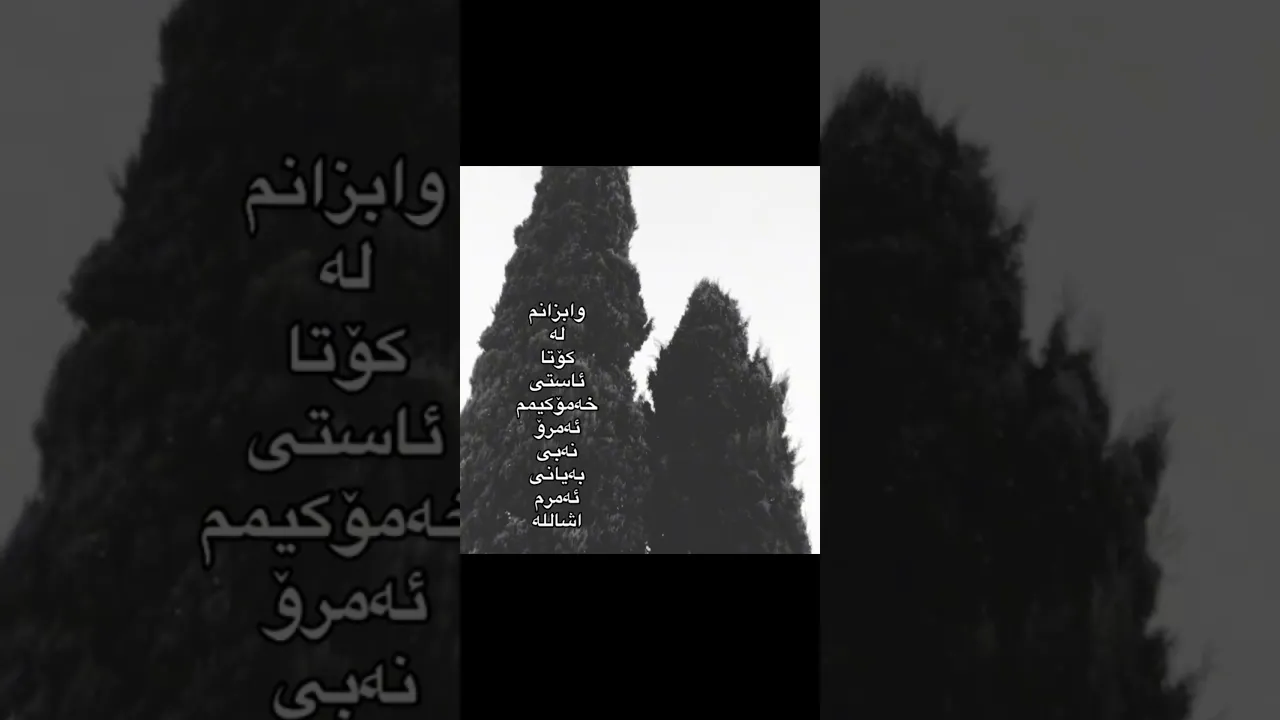 🥰🥰, #foryou