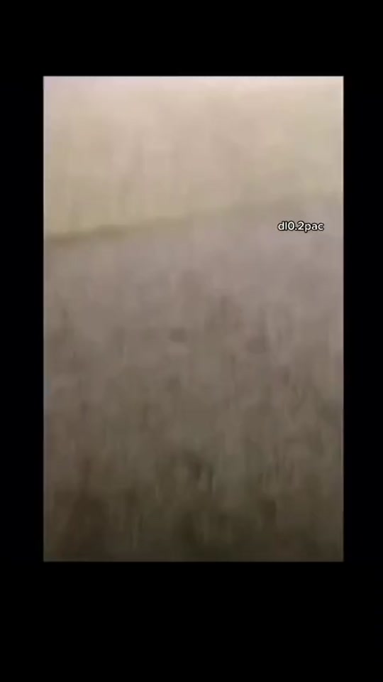 #fyp 7462027792247541000