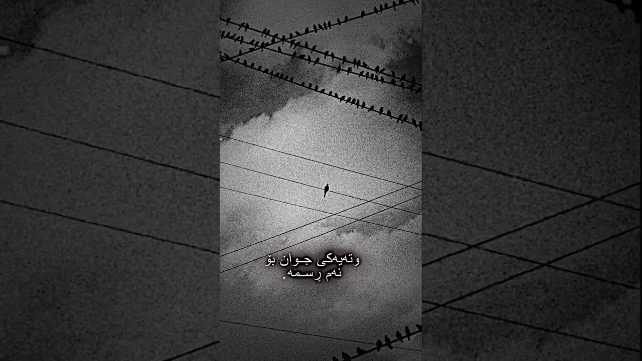 هەر یەکەولەکومێنت وتەیەکم بو بنوسێت بزانم کامەتان وتەزانن وتەی کامەتان جوانترینە🖤
