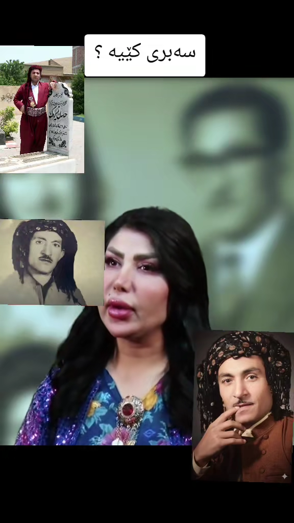 TikTok video #7600046631253265685