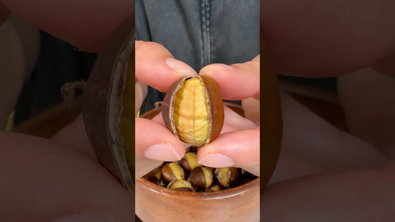 Kestane ⧸ Chestnut 🌰 #chestnut #busezeynep