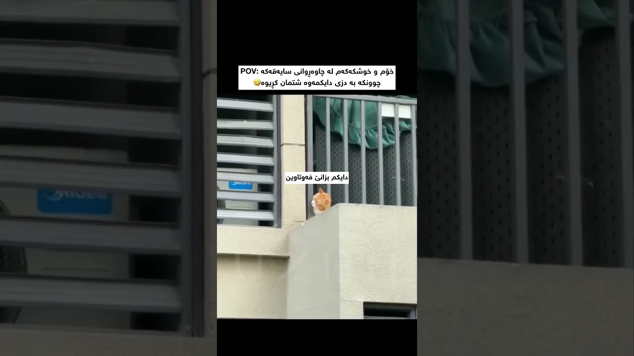 😂😂🥹