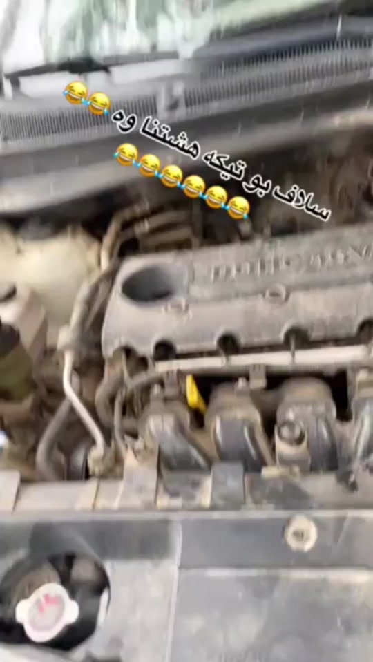#fyp 7336503618985577734