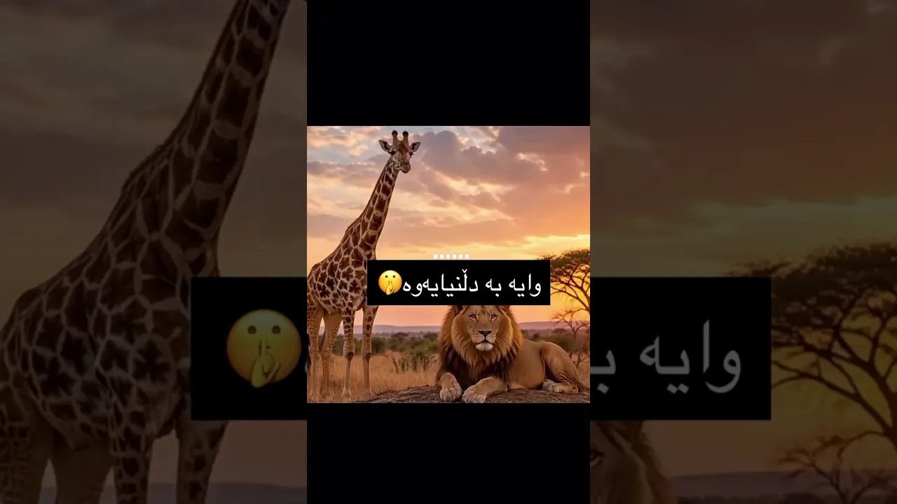 🦦👍🏻