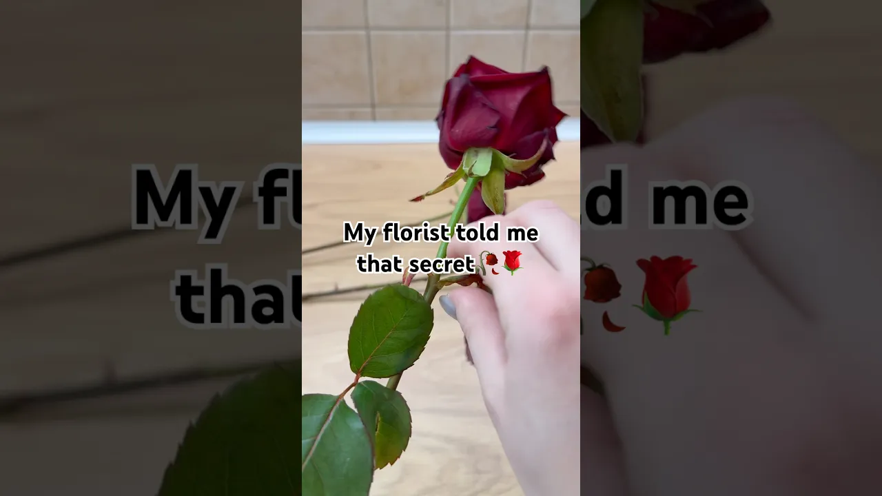 Never Toss Your Dying Flowers 🥀🌹#diy
