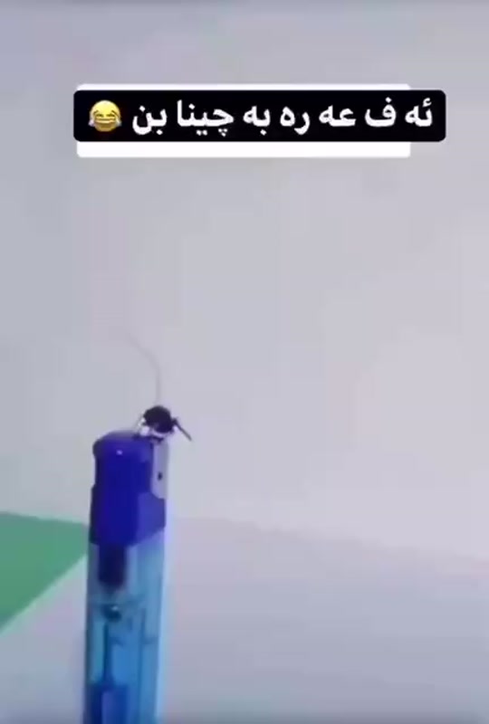#fyp 7306891125011401989