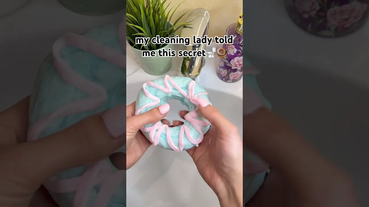 my cleaning lady told me this secret🚽🍩🧻 #lifehack