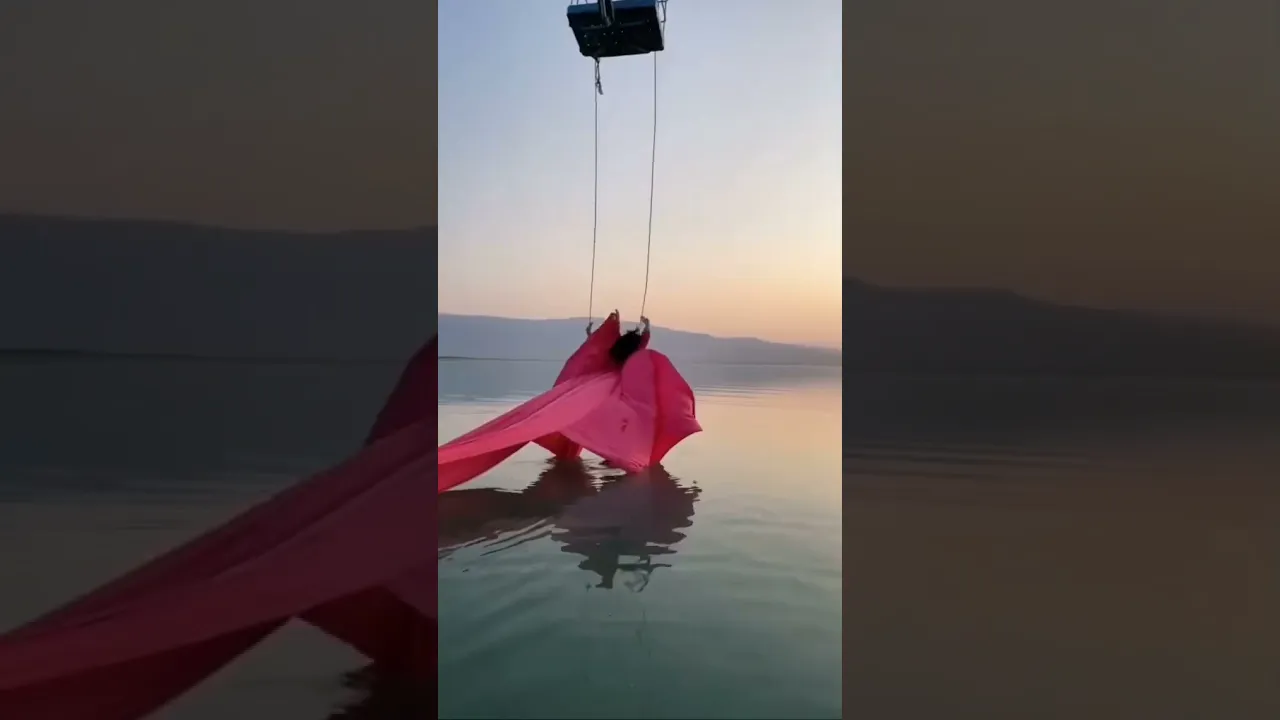 داماو 😂