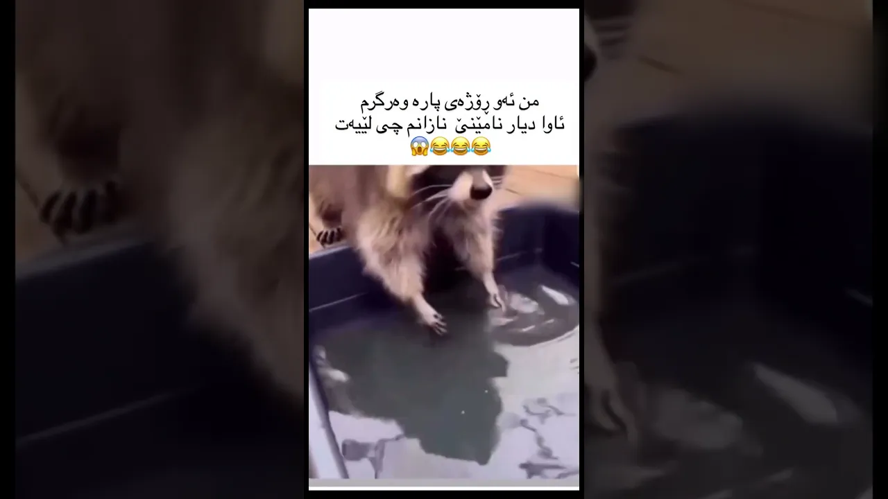 کێیتریش وایە؟😂😭