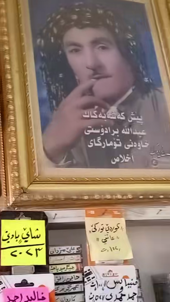TikTok video #7306805207617342725