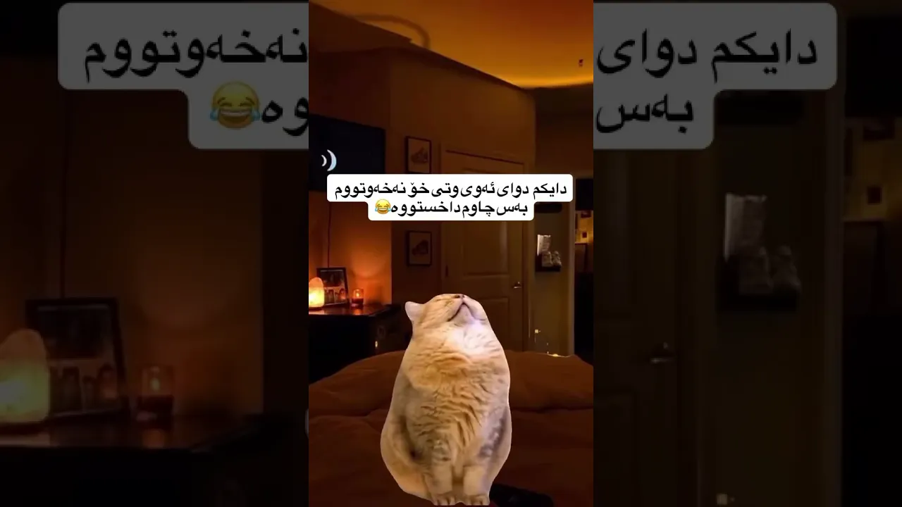 😂🙂o
