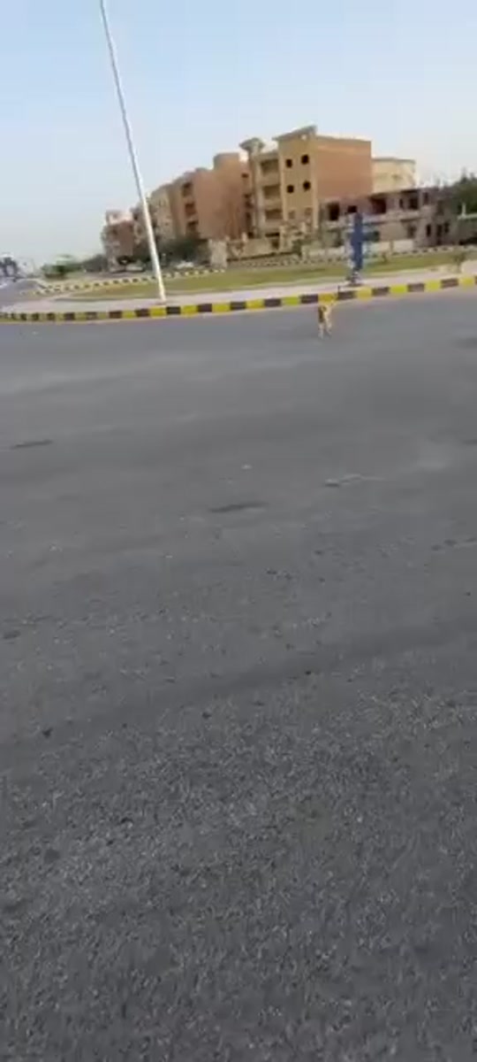 #fyp 7307302595649932549