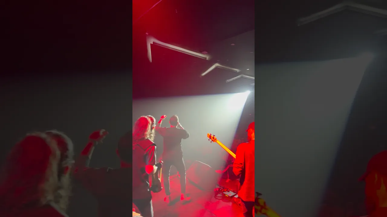 Miro saqqez concert