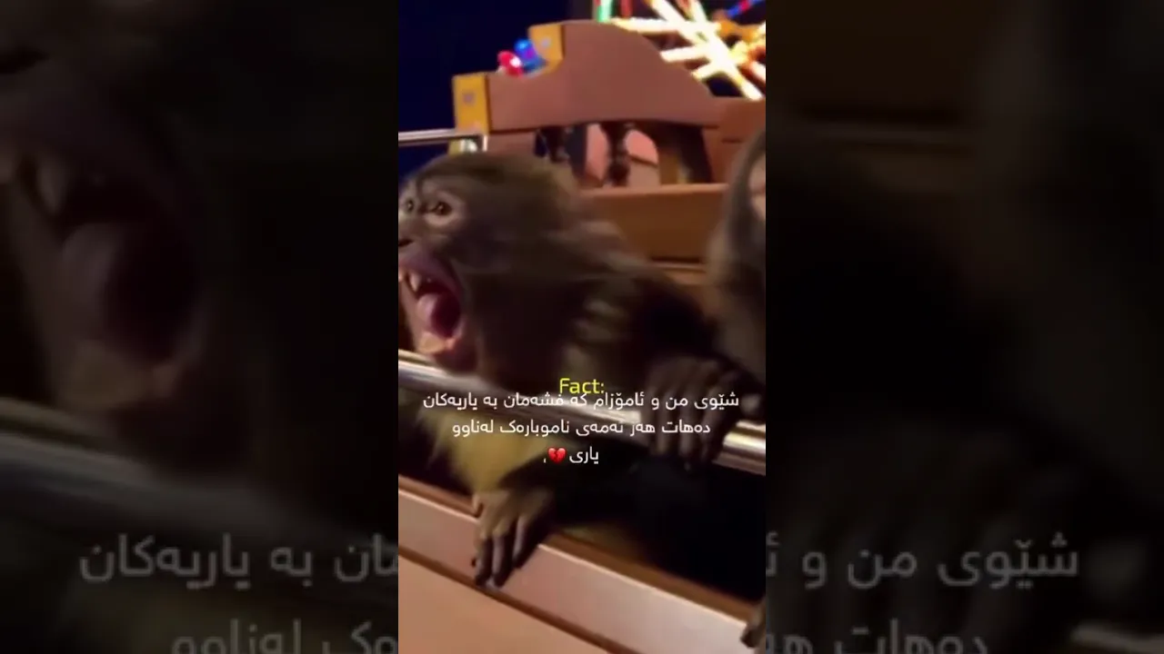 😂🙂q