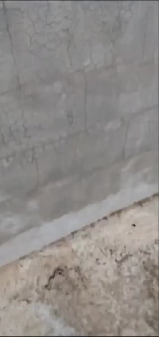 #fyp 7274997576905100550