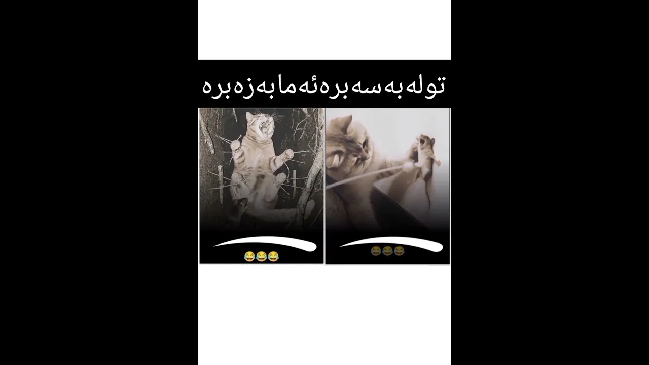 وەلا کاکە مشکیش تورەی خوی کردەوە لەپشەی😹