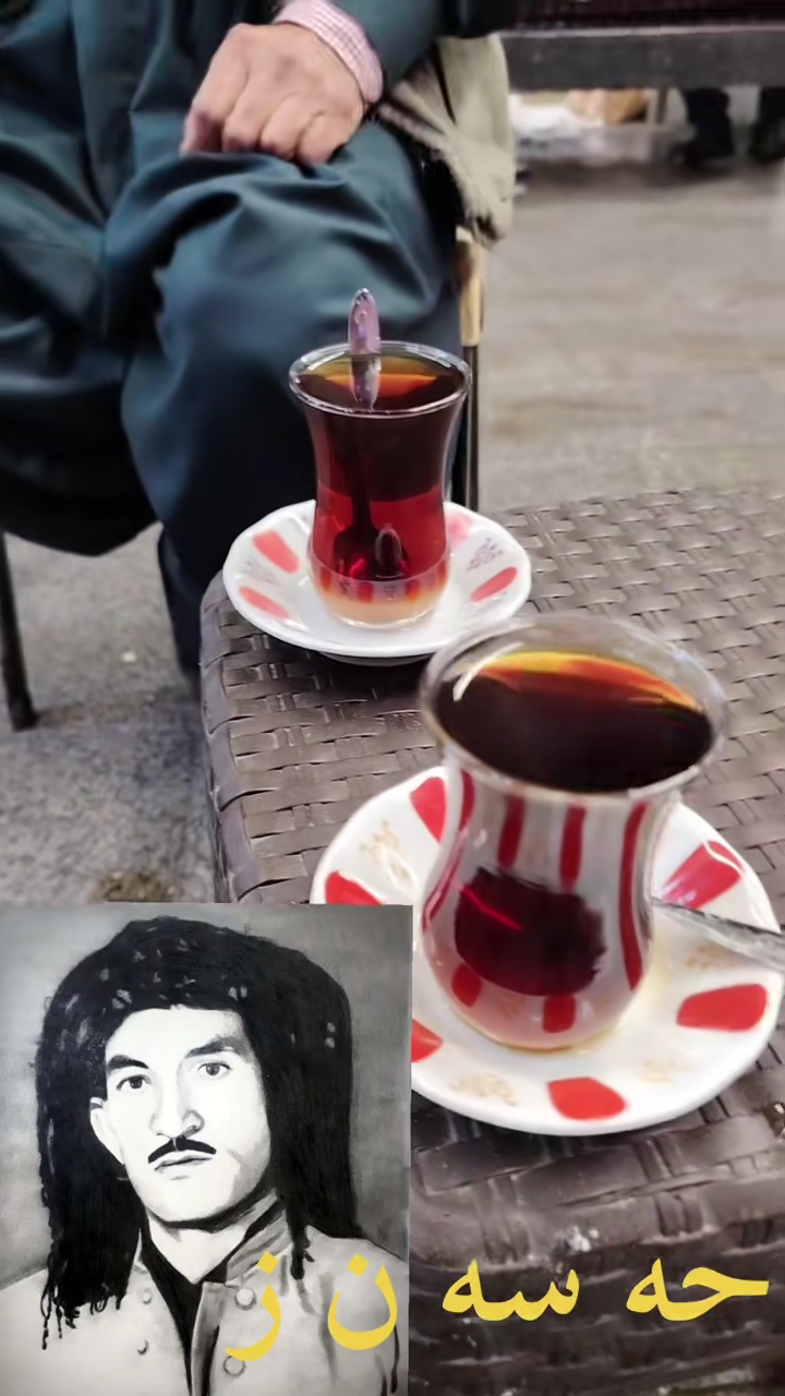 TikTok video #7501491260532804872