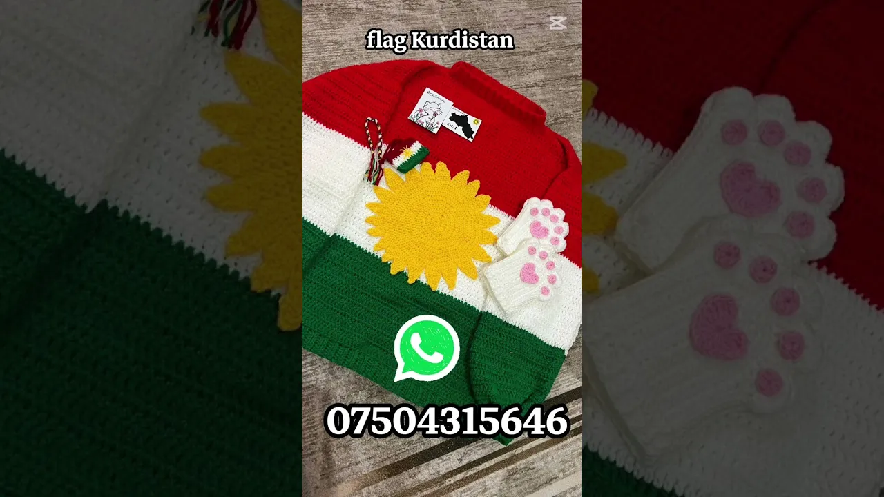 266 flag Kurdistan 🔥😍✌️#kurdistan #viral #کورد #views #اكسبلور #shortvideo #kurdi #shorts